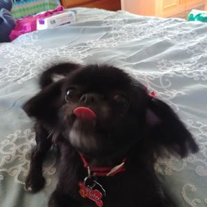 Meet your Posher, Larry